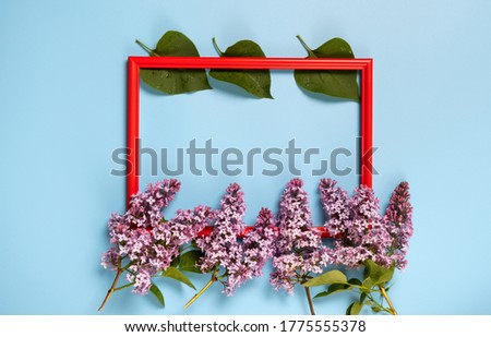 Frame made of fresh lilac flowers and petals on blue pastel background. Beautiful spring mockup backdrop. Flat lay, top view, space for text.