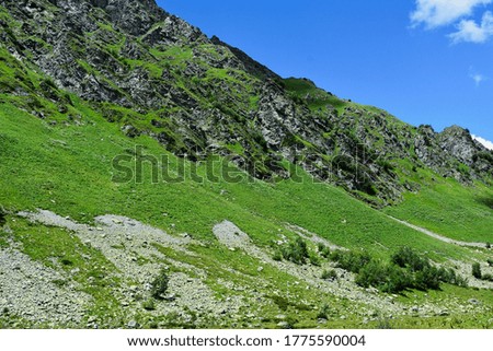 Summer mountains green grass and blue sky landscape. Caucasus mountains