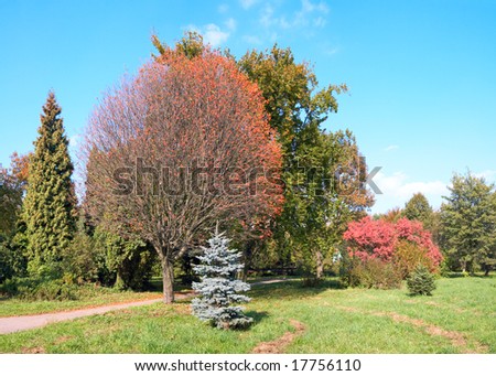 Colorful autumn park. Four shots composite picture.