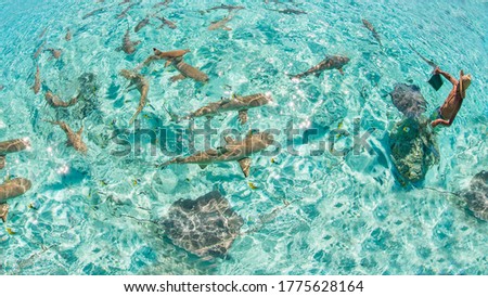 Borabora French polynesia lagoon island Royalty-Free Stock Photo #1775628164