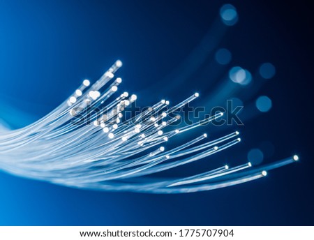 Bundle of optical fibers with lights in the ends. Blue background. Royalty-Free Stock Photo #1775707904