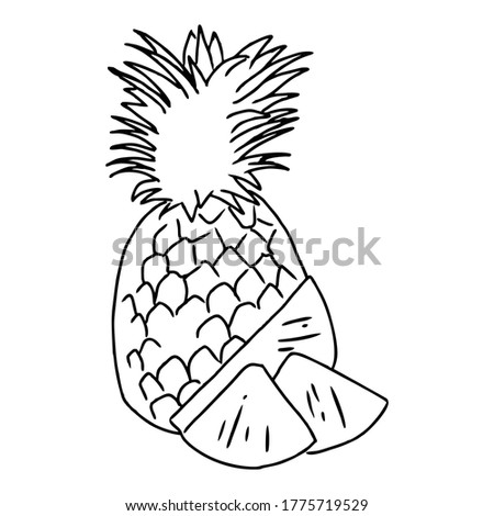 Pineapple icon line art illustration