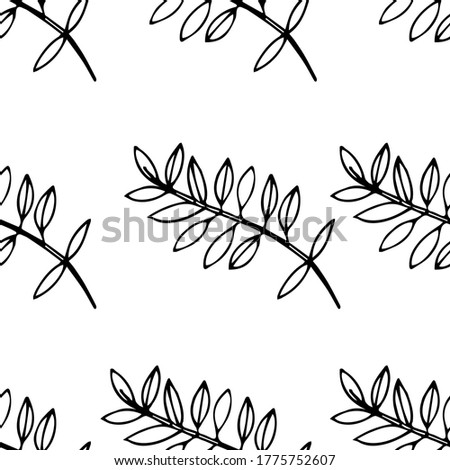 Hand-drawn seamless image of acacia leaves. Black and white image. The idea for children's creativity, wallpaper, packaging, textiles. Isolated on a white background.