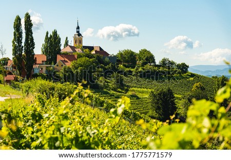 Vineyard on Austrian countryside with a church in the background. Kitzeck im Sausal