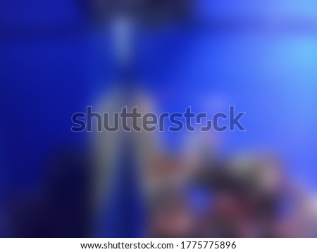 Blurred abstract photo of fishes in aquarium for slide background