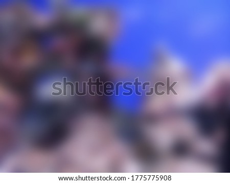 Blurred abstract photo of fishes in aquarium for slide background
