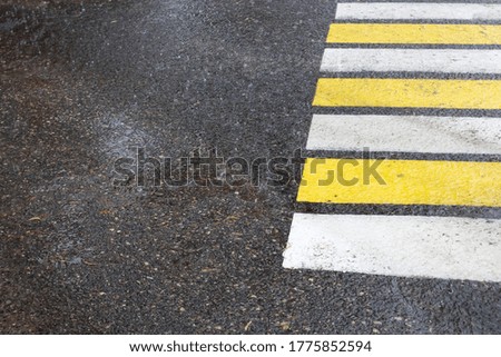 Raindrops on asphalt and pedestrian crossing, background