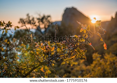 Selective focus. Autumn foliage and sea landscape with warm sunset light over a rocky coastline Calm sea on a background of rocky shores. The concept of an ideal place for autumn travel and relaxation