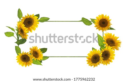 cartoon scene with beautiful and colorful flowers on white background illustration for children
