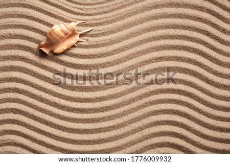 Background of seashell on sand. Wavy sand texture with place for text. Top view. Banner template.