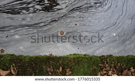 Small leaves floating in a slow moving stream with white foam stream and a mossy green edge, close up