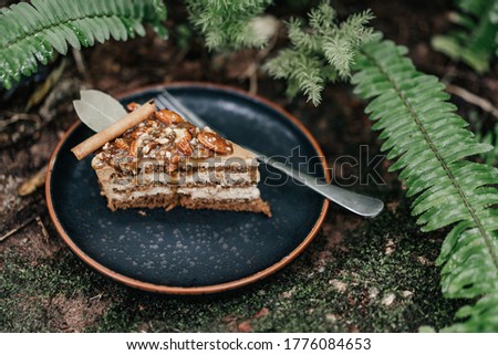 Almond cake lay on moss and fern garden Royalty-Free Stock Photo #1776084653