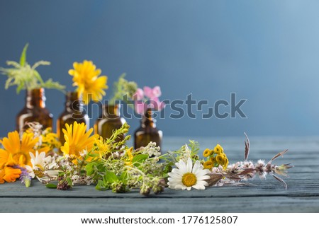 medicinal plants and brown bottles on  blue background