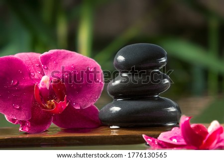 Black zen stones and pink orchids on a wooden plank on the surface of the water. SPA, relaxation, meditation concept