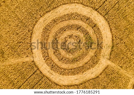 Fake UFO circles on grain crop yellow field, aerial view from drone. Round geometry shape symbols as alien signs, mystery concept. Royalty-Free Stock Photo #1776185291