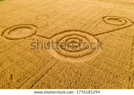 Fake UFO circles on grain crop yellow field, aerial view from drone. Round geometry shape symbols as alien signs, mystery concept.