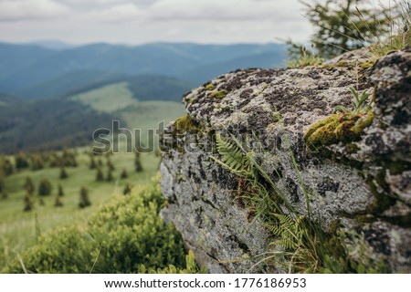 A close up of a rock mountain. High quality photo