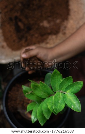 Beautiful picture of Nurturing a plant with bare hands.