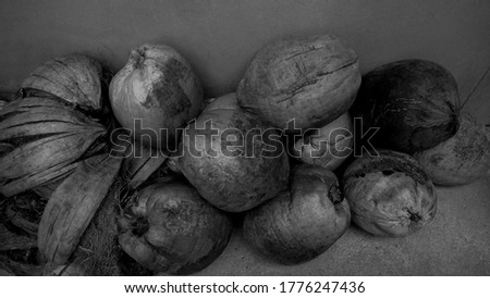 A pile of coconuts and brown bark on the cement floor of the garden house, close up photography, with background for design, vintage image of coconut fruit concept, countryside, Thailand.