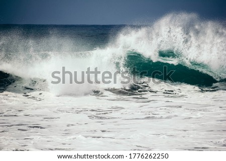 beautiful waves on the coast