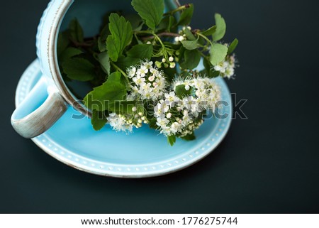 Light blue teacup with a saucer and delicate white flowers, a cup lying on its side, decorated with a bouquet of spring plants