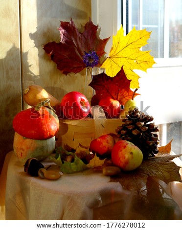 autumn sunny still life with apple harvest, pumpkin, cone and maple leaves