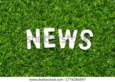 Wood alphabet letter in word news on green grass background