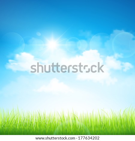 Green grass and blue sky. Vector