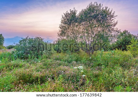 Landscape with coloful sunset in summer field 