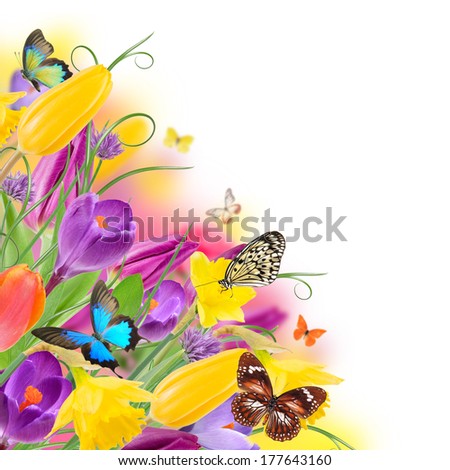 Beautiful bouquet of colorful flowers with exotics butterflies.