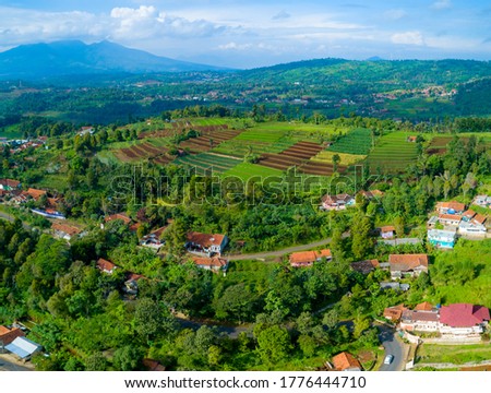 Aerial View of Rice Field Terrace and Rural Area in the Sunrise, Ranca Kalong Sumedang, West Java Indonesia, Asia