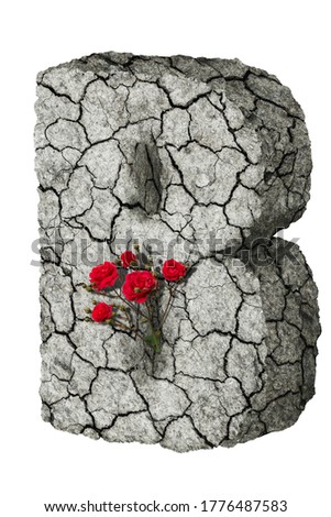 3D volumetric letter B made from cracked soil with red roses inscribed in the letter.English alphabet isolate on black background
