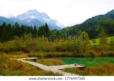 Autumn morning view of Zelenci nature reserve, Slovenia, Europe. Beauty of nature concept background