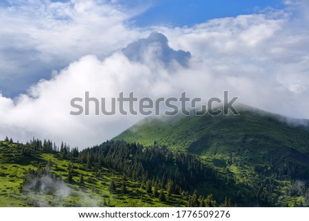 Landscape with high mountains. Foggy forest of the pine trees. Majestic summer day. The early morning mist. A place to relax in the Carpathian Park. Natural landscape. Free space for text.