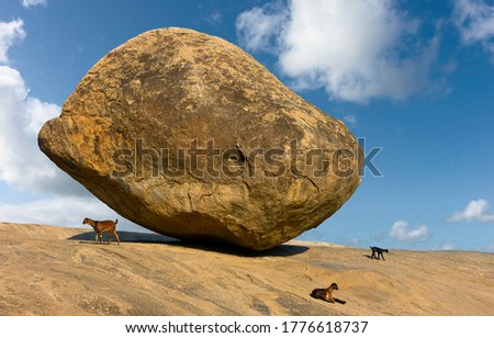 Precariously balanced giant boulder with goats resting under summer sky with clouds in Mamallapuram, Tamil Nadu, India. Royalty-Free Stock Photo #1776618737