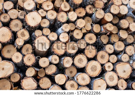 Dry felled logs are stacked on top of each other. Felled trees in a heap, piled by a wall. Natural background