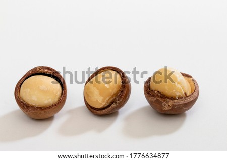 Three macadamia nuts half shelled on white background