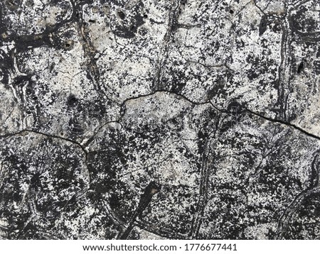 White cement floor with cracks