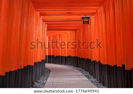 An empty path of wooden gateway (tori) at Fushimi Inari shrine in Kyoto, Japan