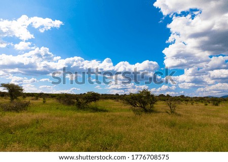 African landscape with cumulus clouds and blue sky in Kruger National Park, South Africa