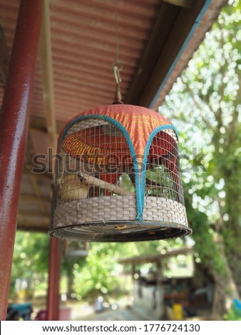 Seeing a bird cage in the morning.selective focus,selective focus on subject