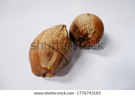 Dried coconut on a white background