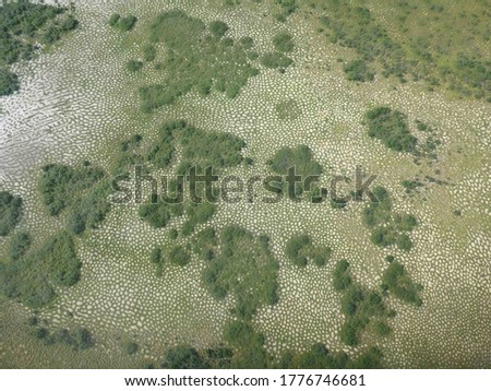 The greening of the arctic. This is a picture of the greening of the arctic. Green grass and trees in the arctic.
