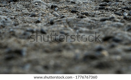 texture of sand and conch