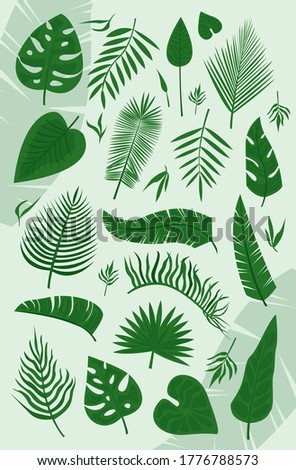 
Set of vector illustrated tropical leaves. A tropical forest.