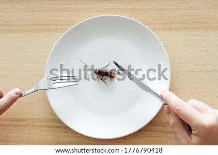 Top view, a man eating a cockroach. Cockroach in a white plate on the kitchen table. Strange taste preferences.