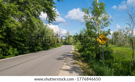 View of a road in Quebec, with a warning roadsign "Turtle crossing" on the right-hande side