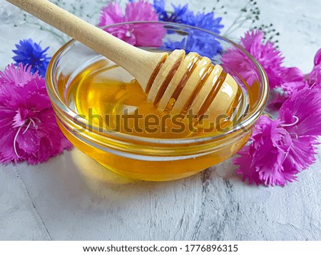 fresh honey flower on concrete background