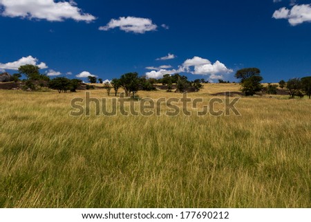 Serengeti national park, landscape