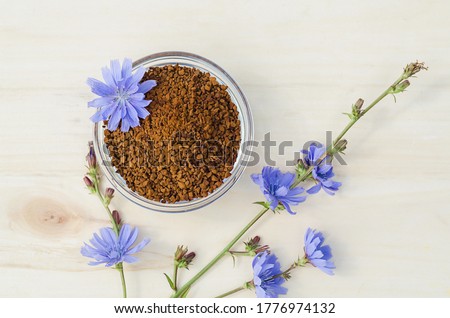 instant freeze dried granules from chicory root on wooden background. dry powder and fresh blue flowers. natural coffee substitute. drink for children. Royalty-Free Stock Photo #1776974132